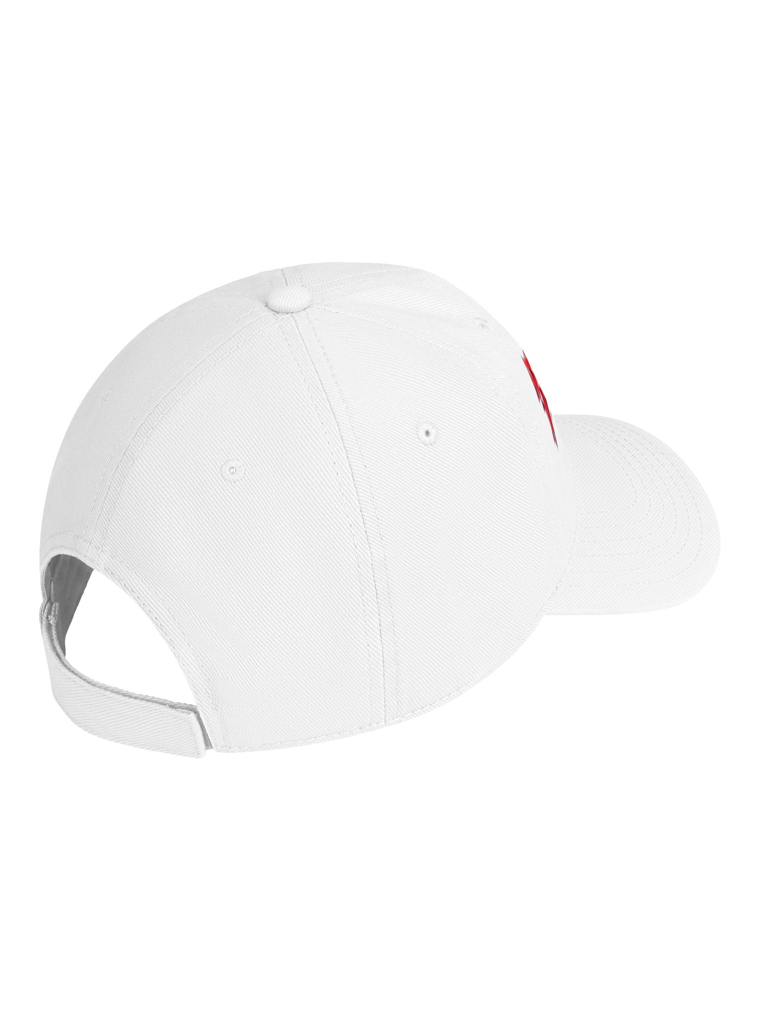 BWLLEAR BWMF BASEBALL HAT LOW PROFILE product image (23)