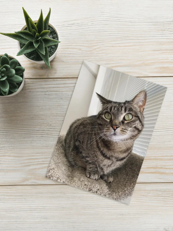 Emma Memorial Card product image (1)