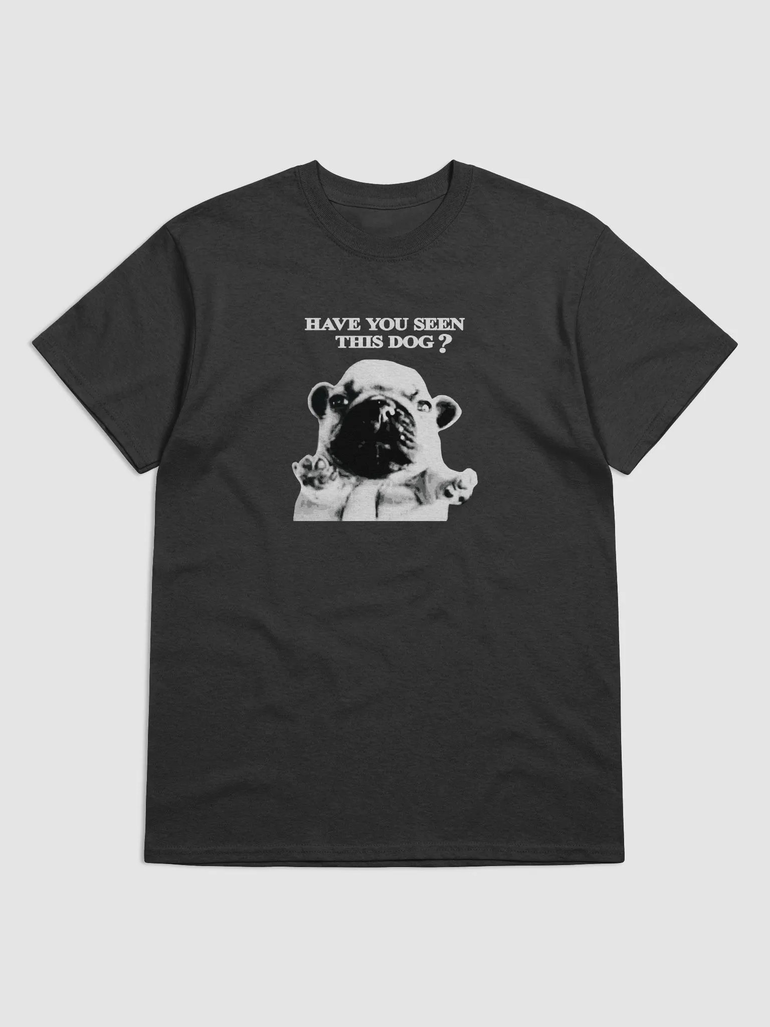 HAVE YOU SEEN THIS PIBBLE TEE product image (1)