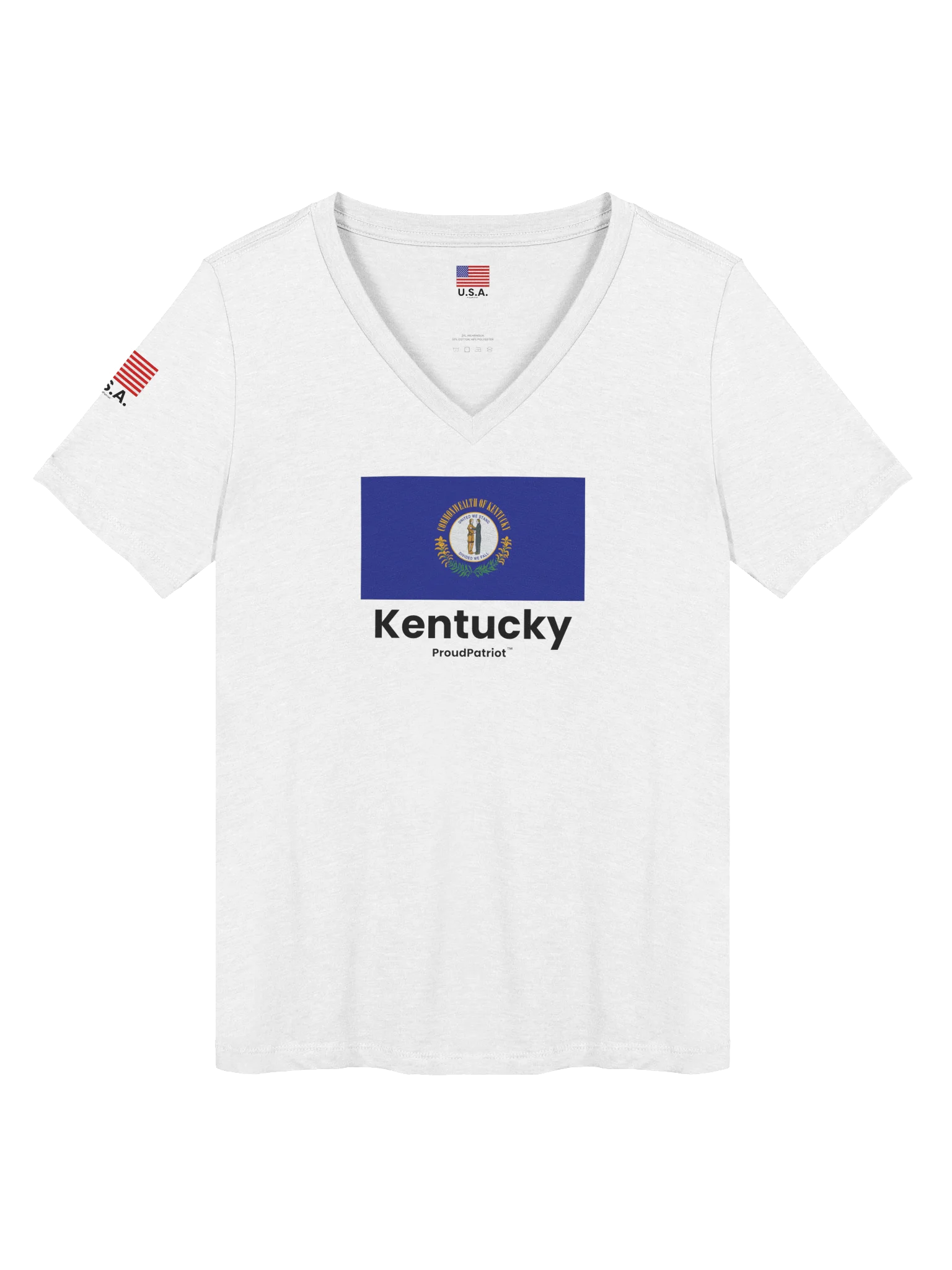 Kentucky Women's Relaxed V-Neck T-Shirt product image (7)
