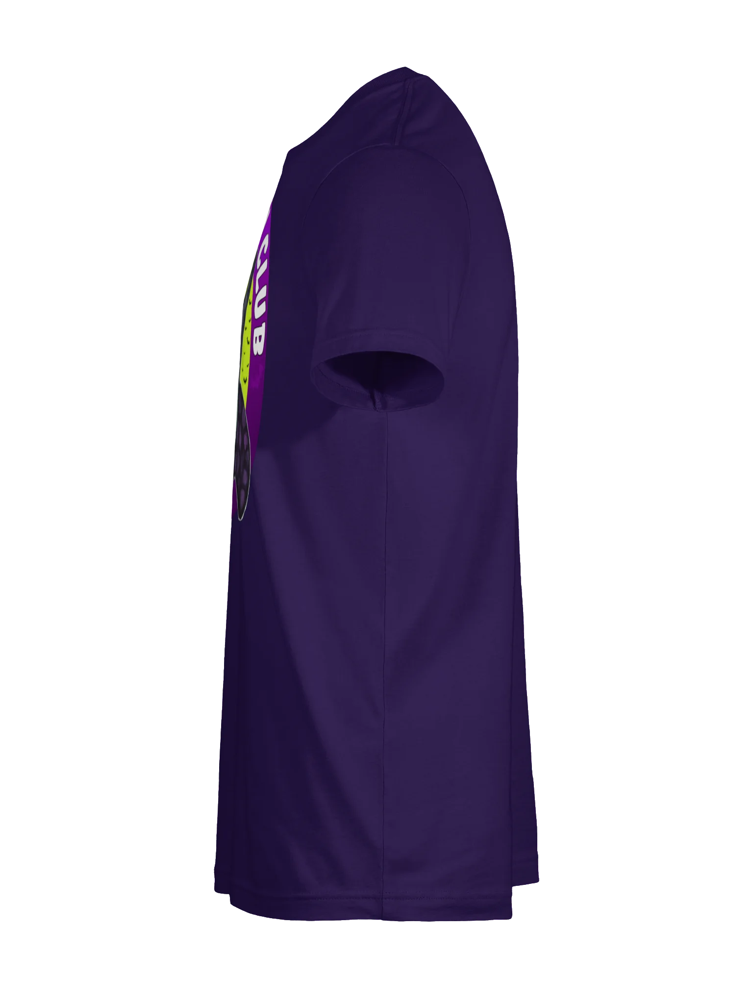 Witcheficent T-Shirt product image (17)