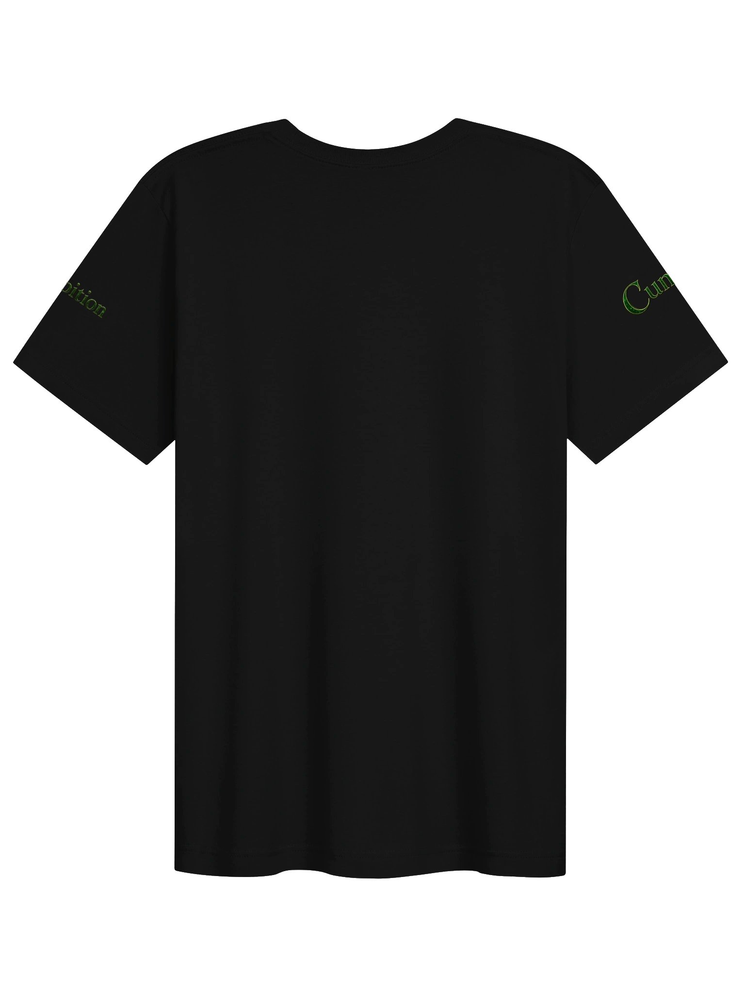 Vintage Wizarding House Collection – Proud to Be Slytherin T-Shirt product image (2)