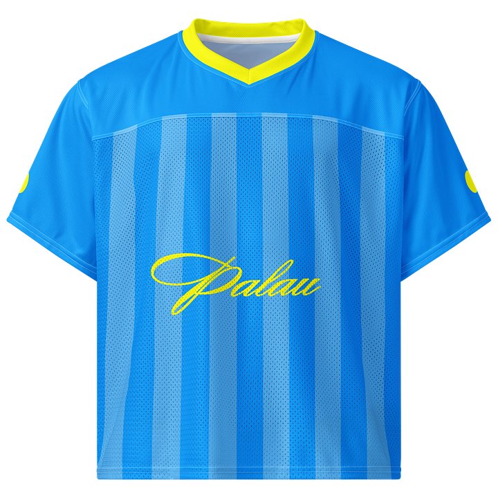 Palau Boxy Sports Tee product image (1)