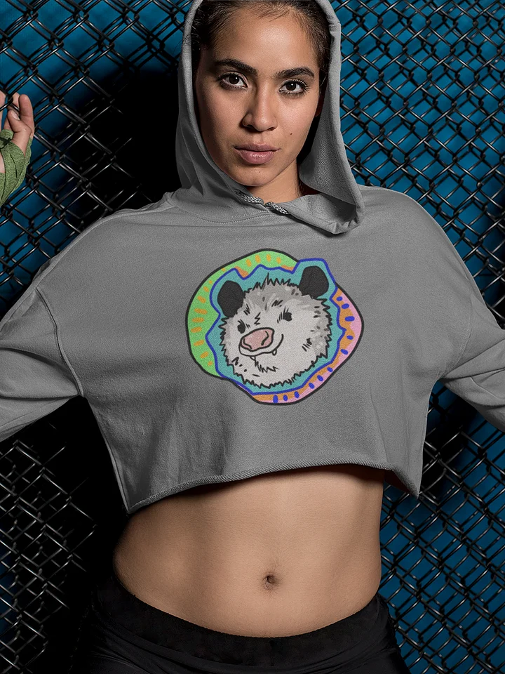 Vaporpossum fleece crop hoodie product image (1)