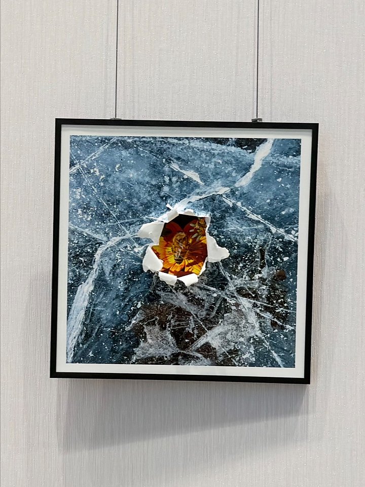 "Spring Just Arrived" Framed Print product image (1)