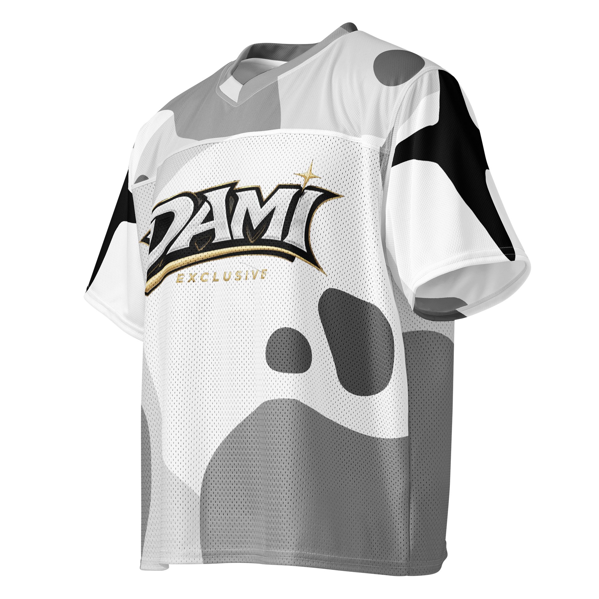 DAMI TEAM JERSEY product image (3)