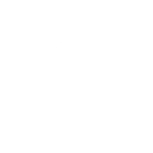Have Questions?