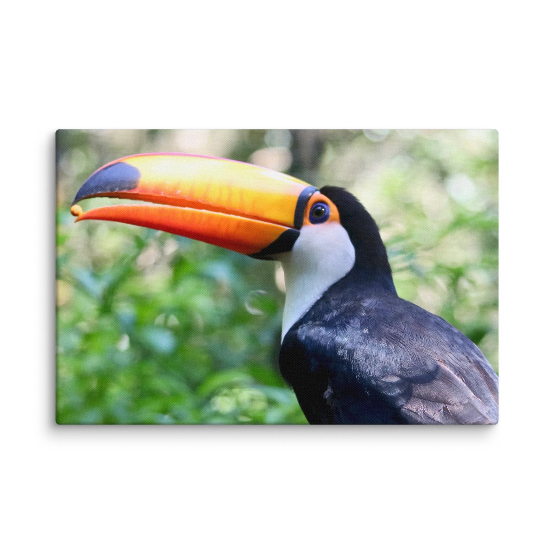 A Hungry Toucan product image (1)