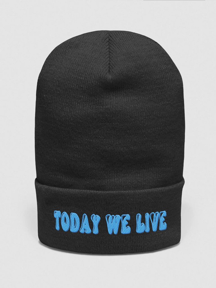 Today We Live Old School Beanie product image (1)
