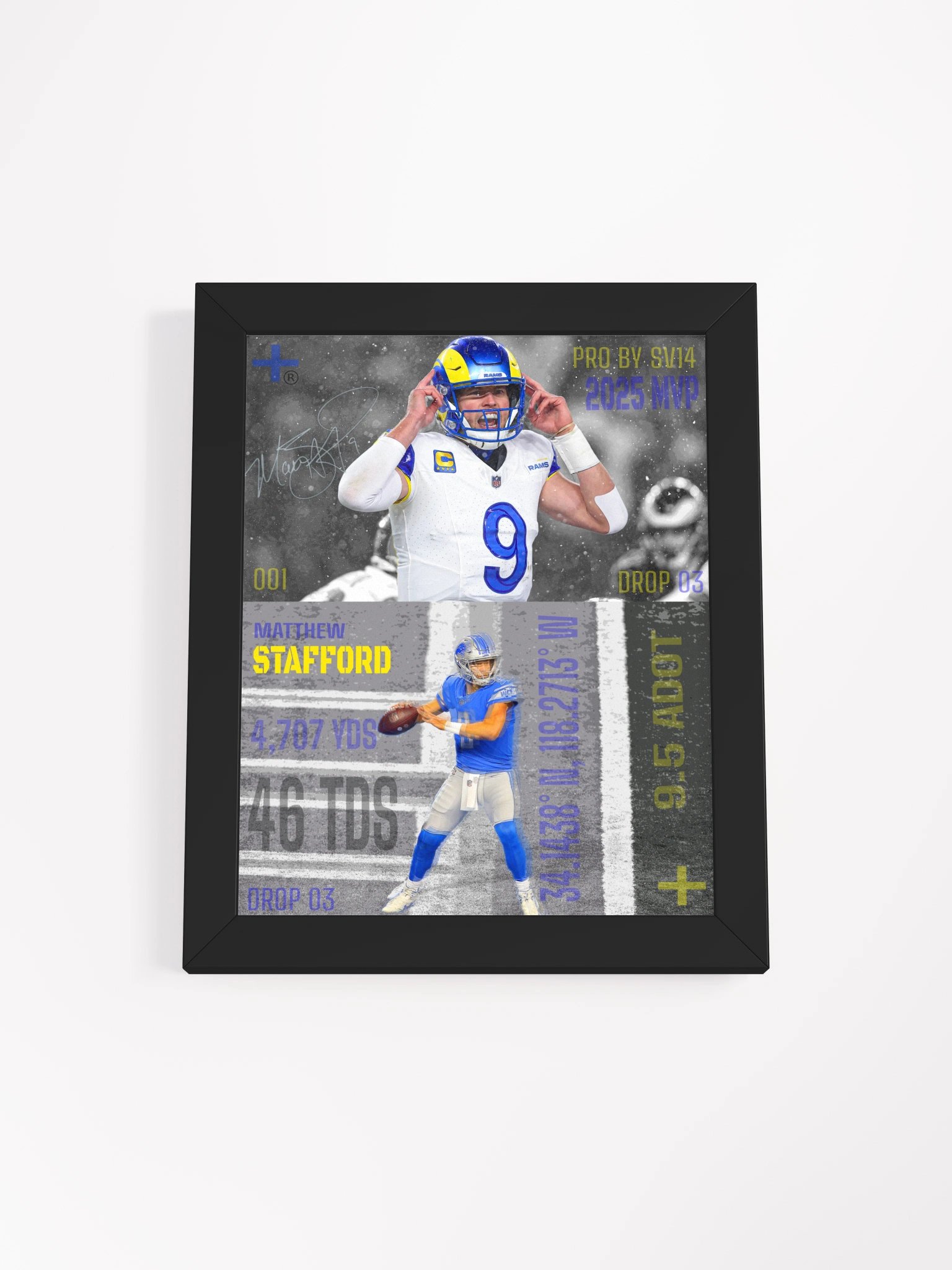 25' SIGNED STAFFORD FRAME product image (2)