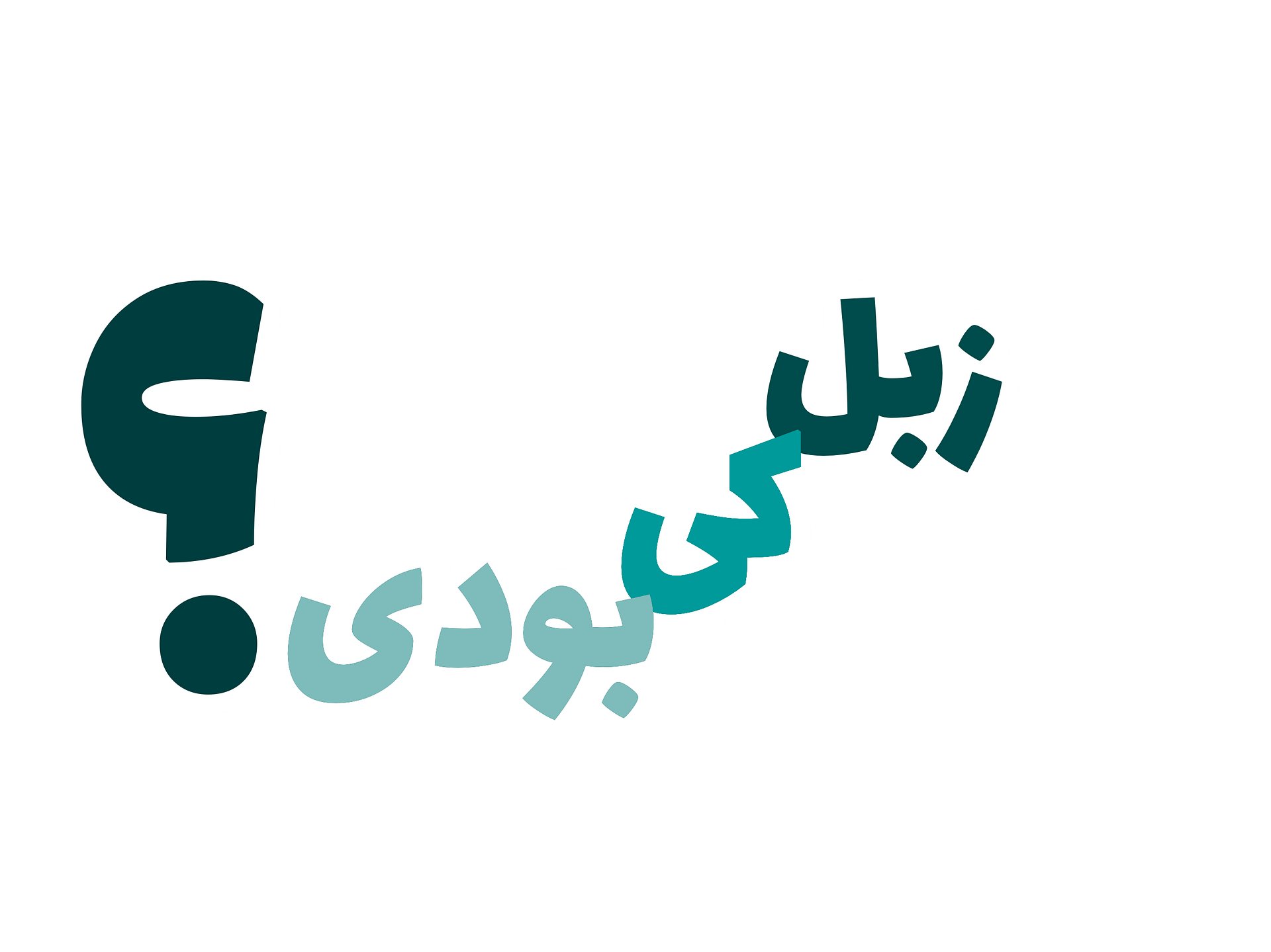 زبل کی بودی product image (8)