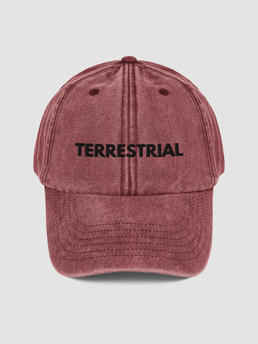 Classic Logo Distressed Hat product image (2)