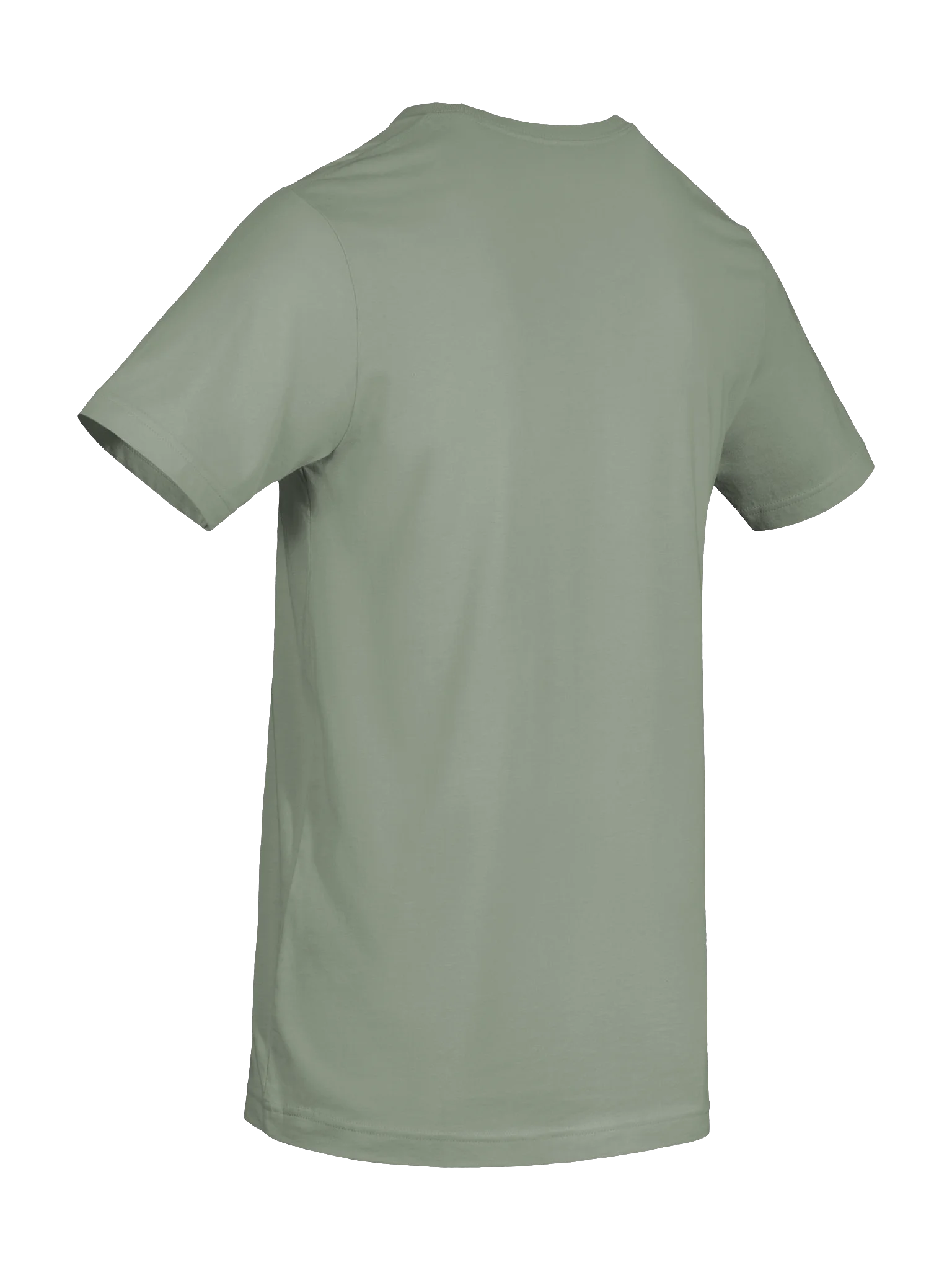 Highly Favored. Dangerously literate. Green tee. product image (8)