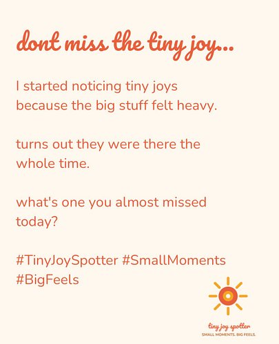 they were always there. just had to slow down enough to see them. 🧡

#TinyJoySpotter #SmallMoments #BigFeels