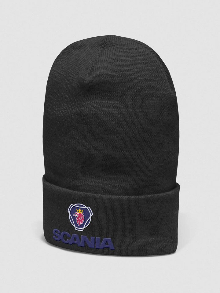 Scania Lue product image (2)