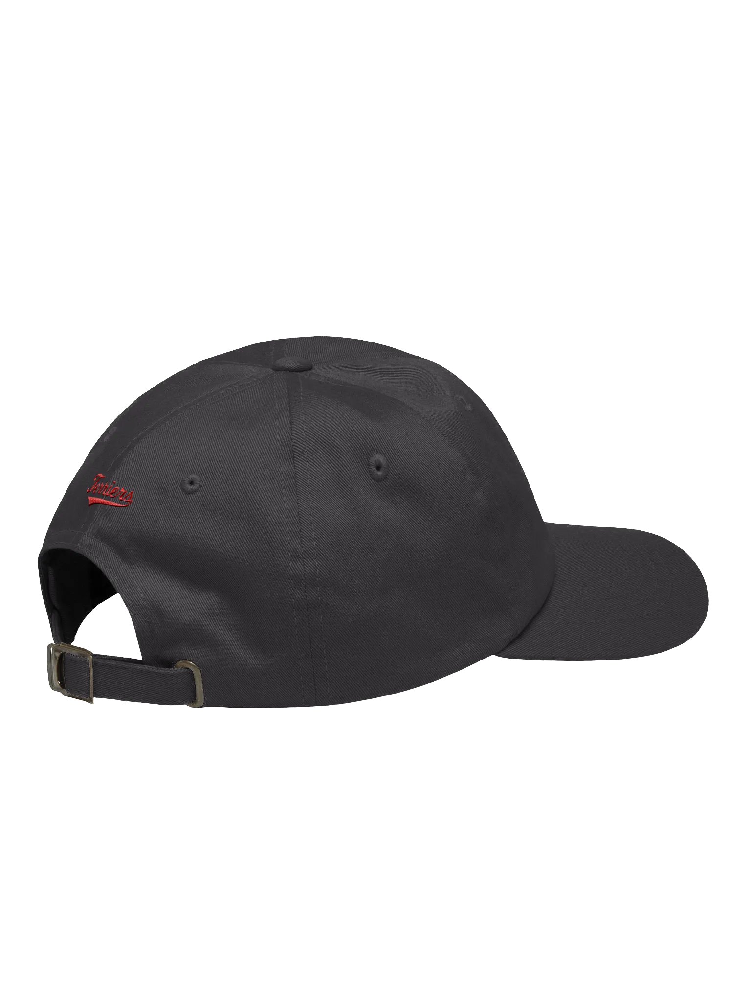 Galt Terriers Dad Hat product image (13)