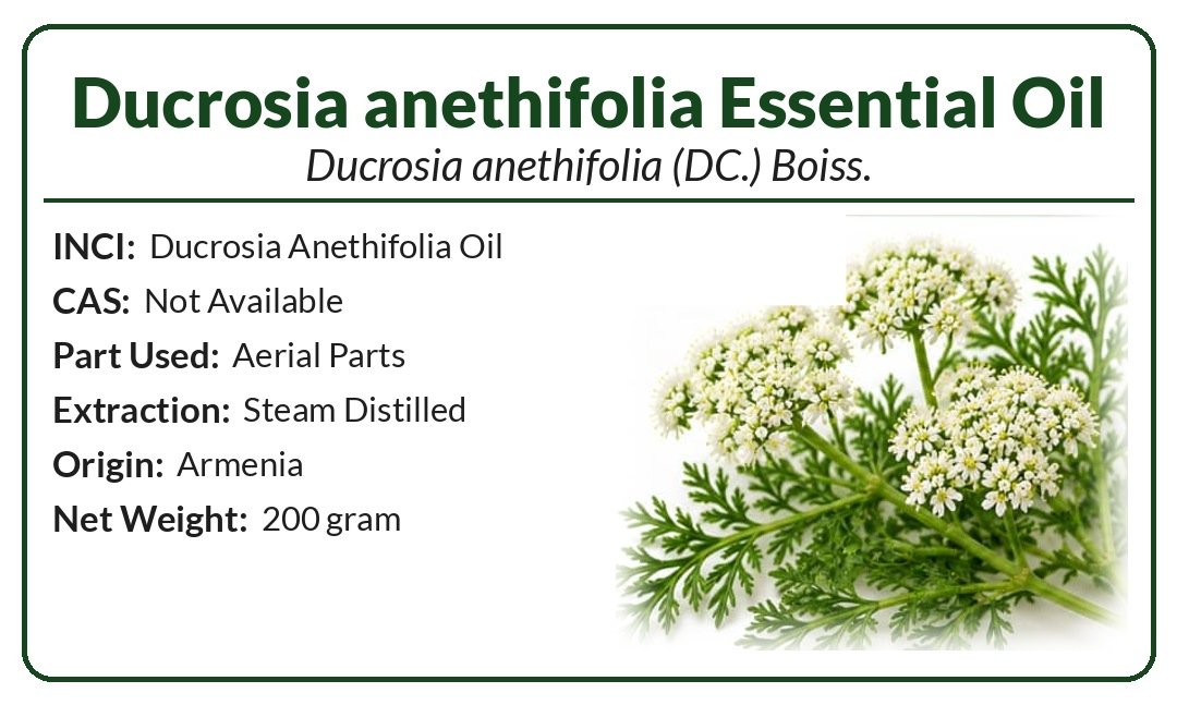Ducrosia anethifolia Boiss. Essential Oil product image (2)