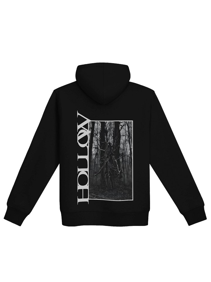 Ent unisex pullover hoodie product image (1)