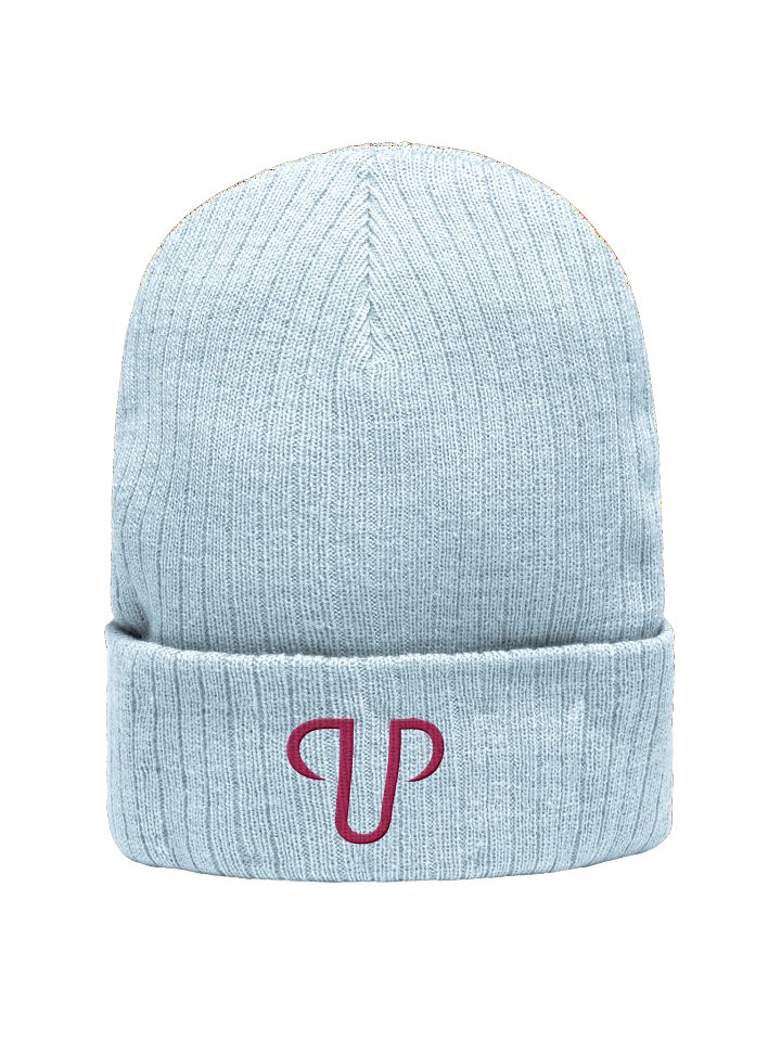 Bad Beanie product image (13)