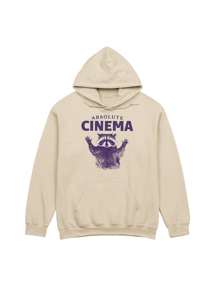 Absolute Cinema Raccoon Meme Graphic Hoodie product image (1)