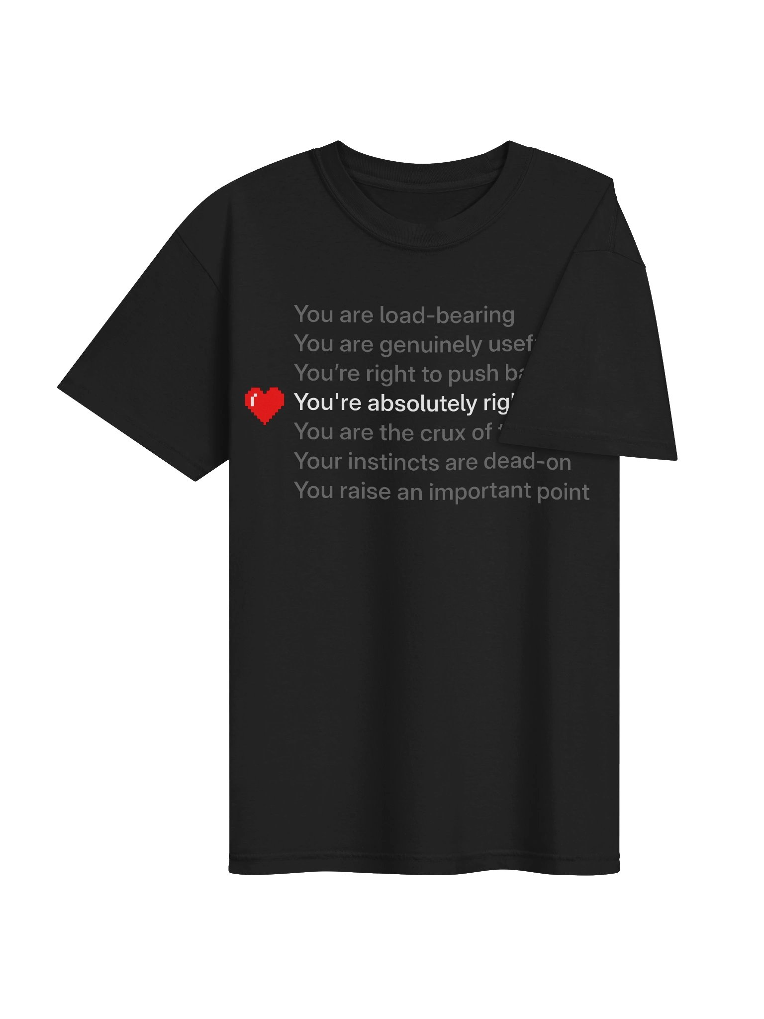 You're absolutely right product image (4)