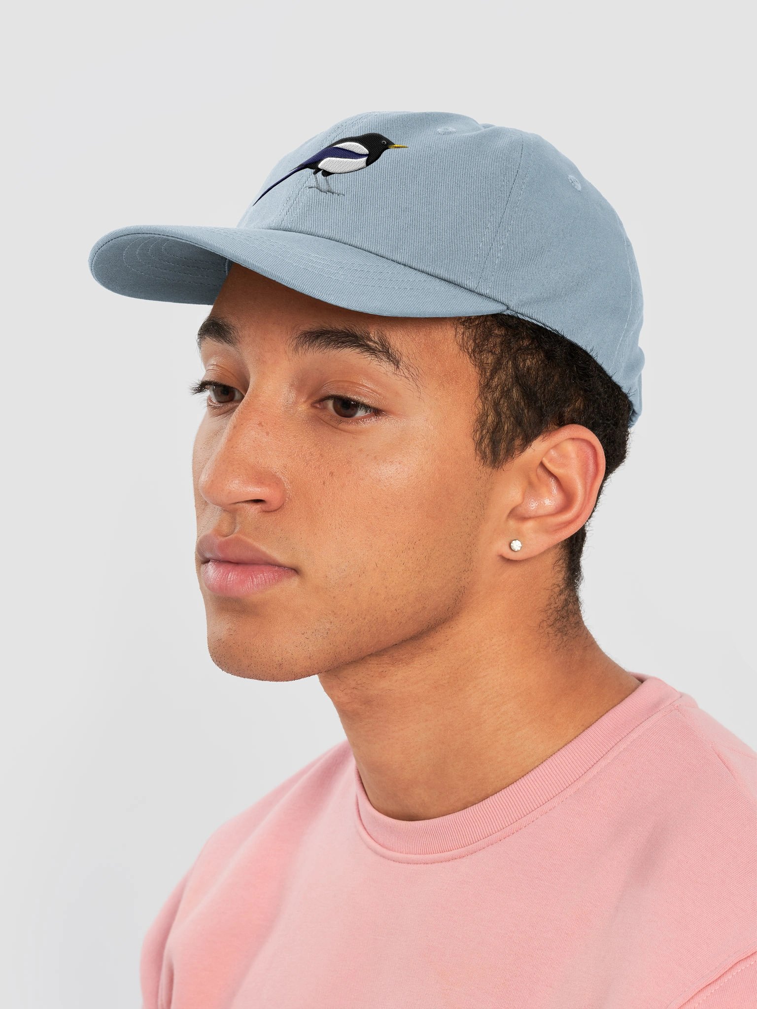 Embroidered California Yellow-billed Magpie Hat | Birdwatching Dad Hat product image (47)