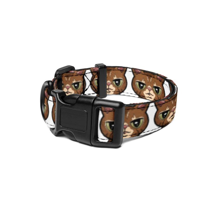 Reggie Pet Collar product image (1)