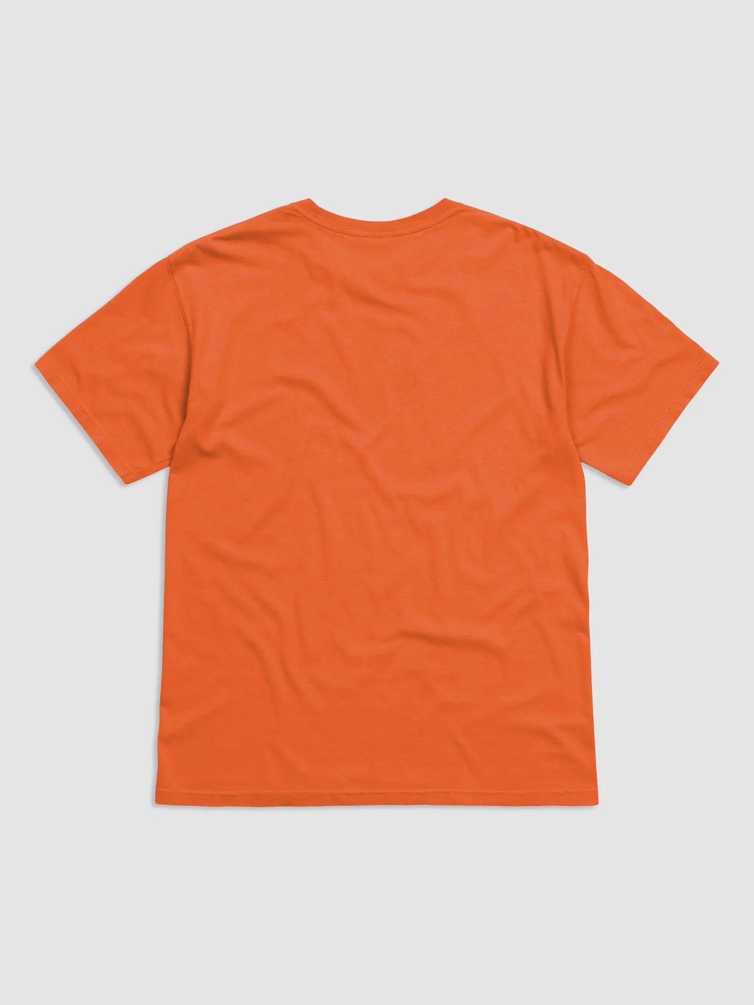 SOBER ONE FK Heavyweight Tee product image (9)