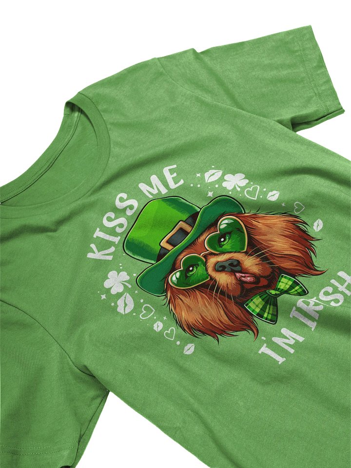 Irish Setter Kiss Me I'm Irish St. Patrick's Day T-Shirt product image (2)