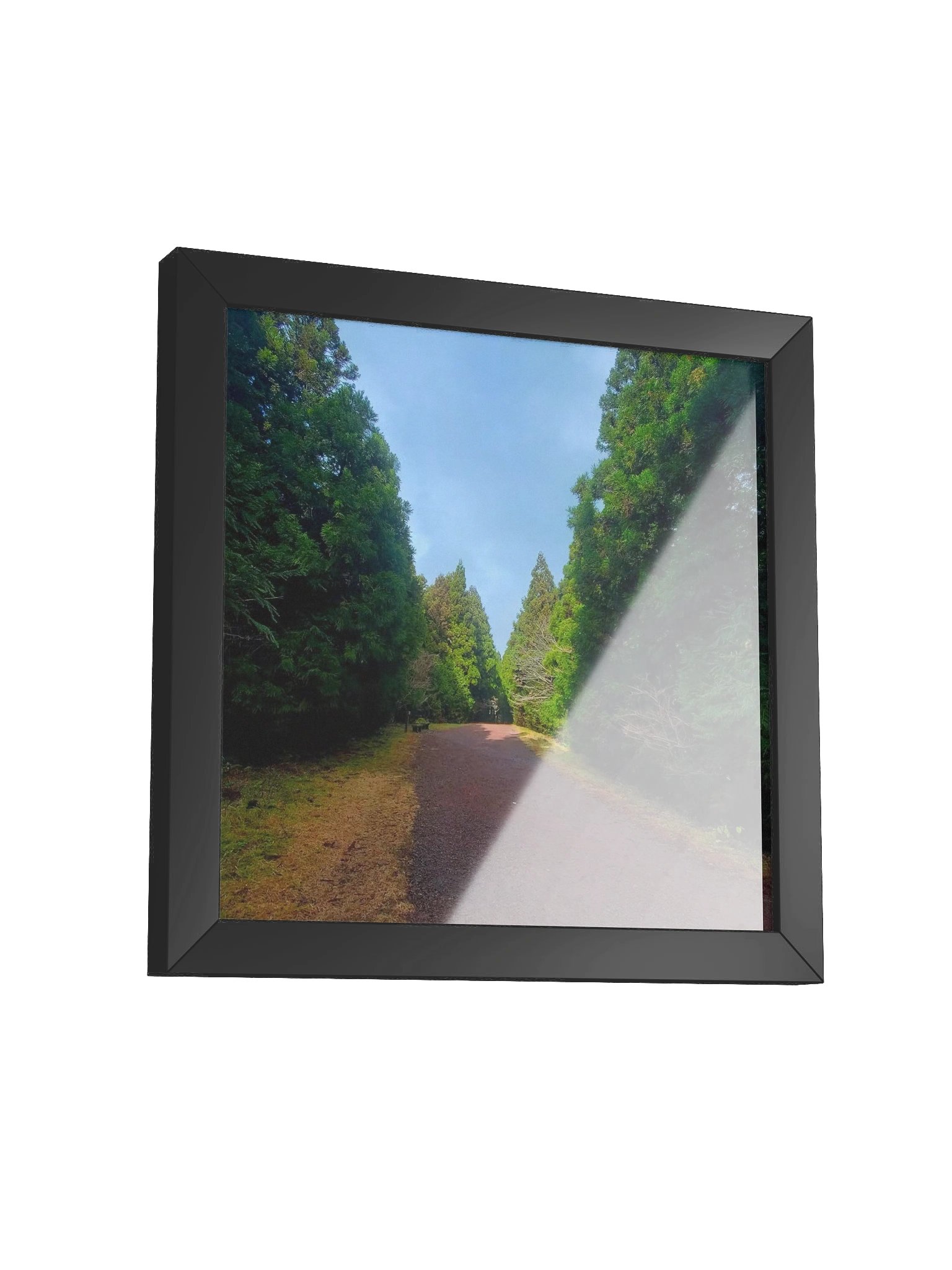 The Path product image (3)