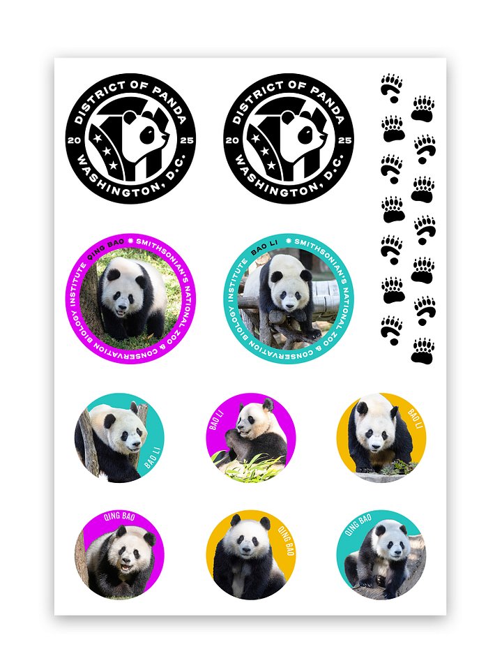 District of Panda Sticker Sheet product image (1)