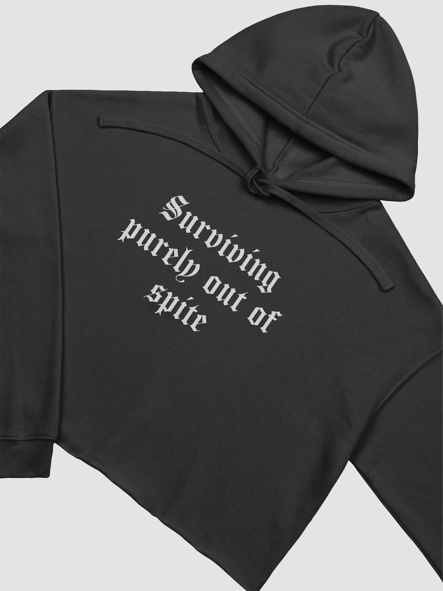Surviving cropped hoodie product image (12)