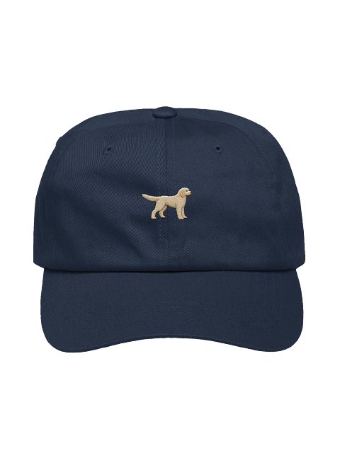 Bantry — Goldendoodle Hat