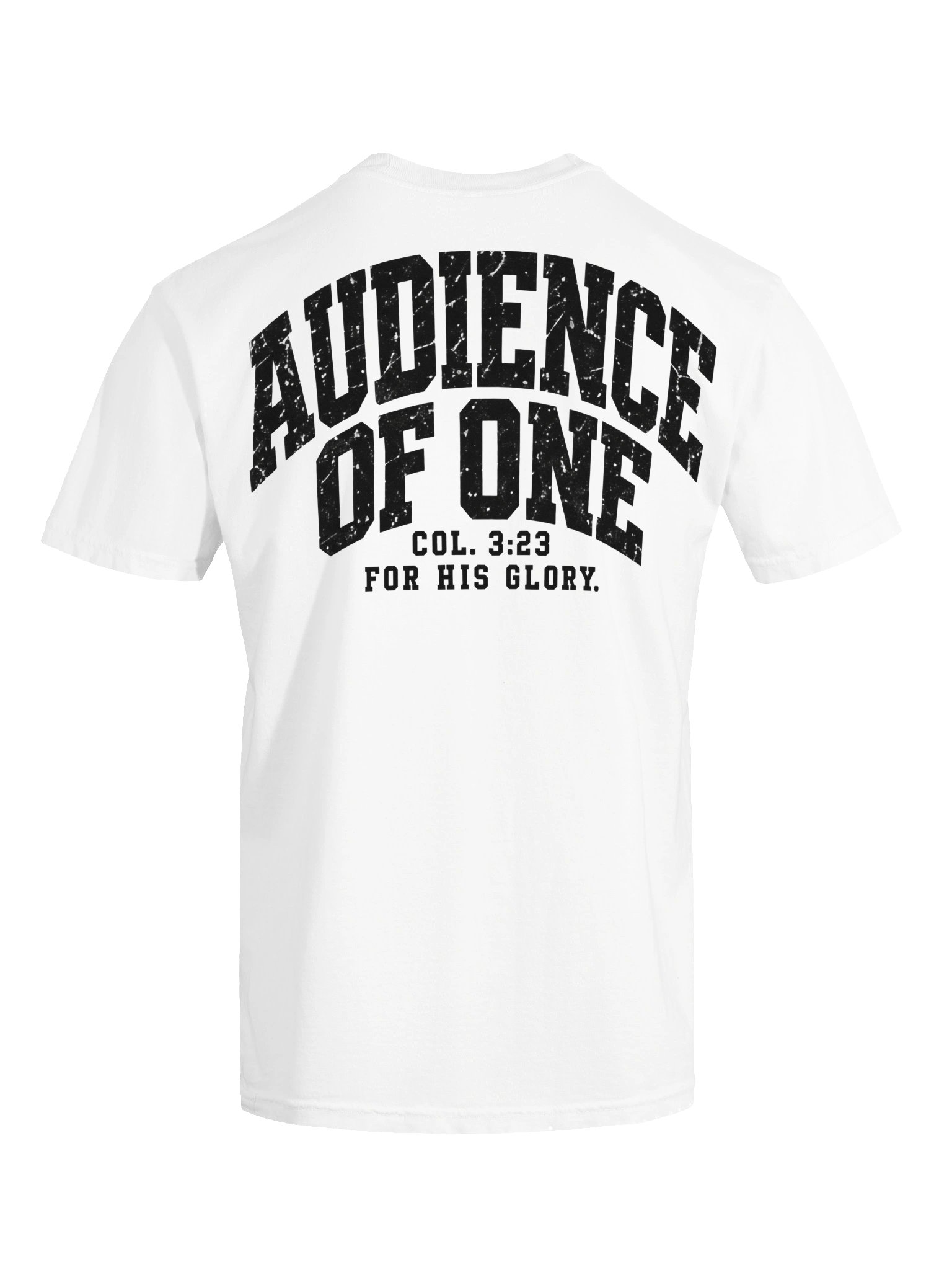 Elioenai "AUDIENCE OF ONE" Heavyweight Tee product image (191)