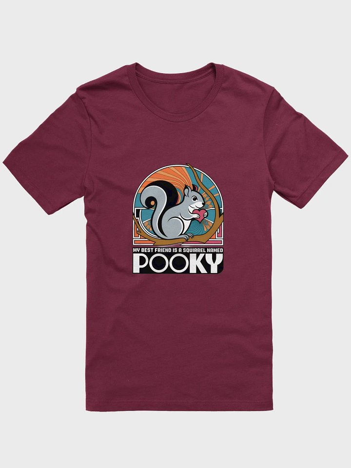 Super Soft and Flattering Tee: My Best Friend is a Squirrel Named Pooky product image (1)
