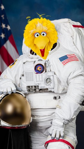 Imagine being a kid watching the Challenger launch… except Big Bird is onboard. 😳
If everything still happened the same way, ...