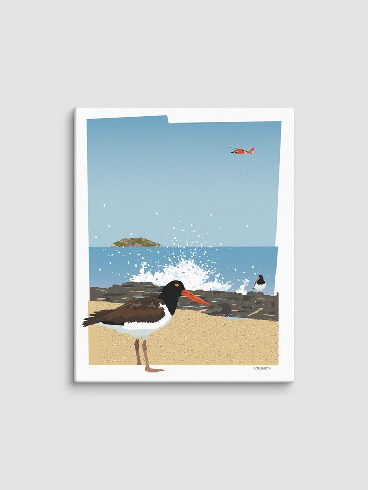Oyster Catchers product image (1)