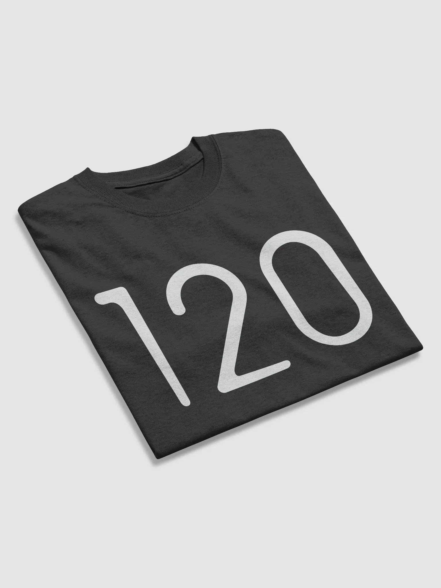 120 LOVE - LOGO TEE product image (3)