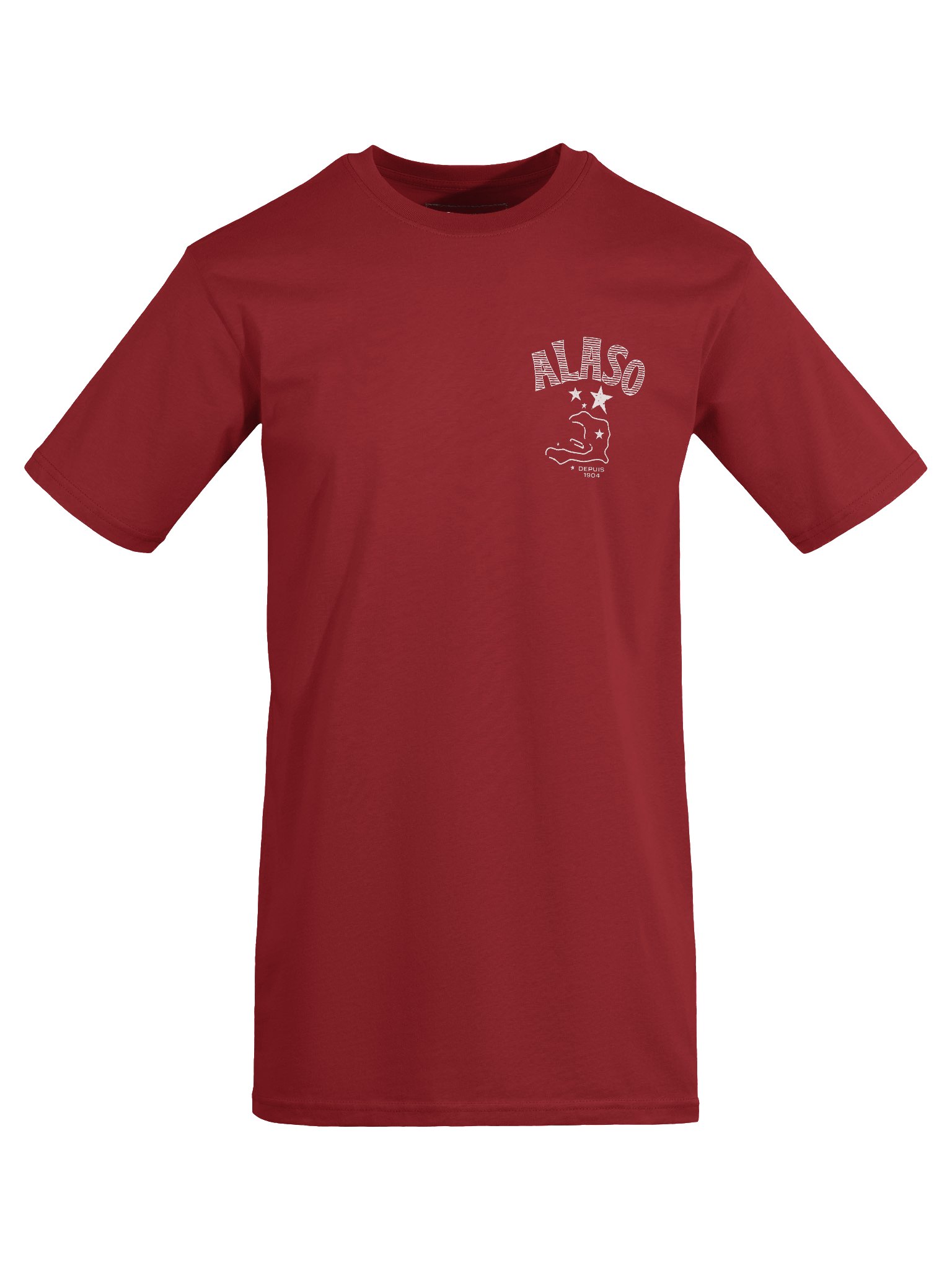 Haiti Alaso Men's Premium Tee product image (5)