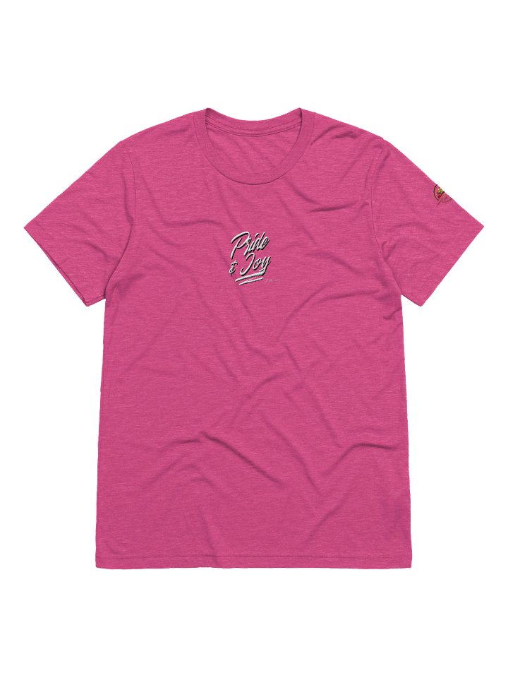 Embroidered Pride & Joy Since 1969 Tee product image (38)