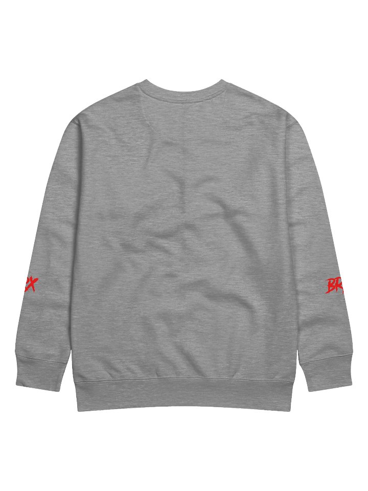 "BRX" SWEATSHIRT product image (7)