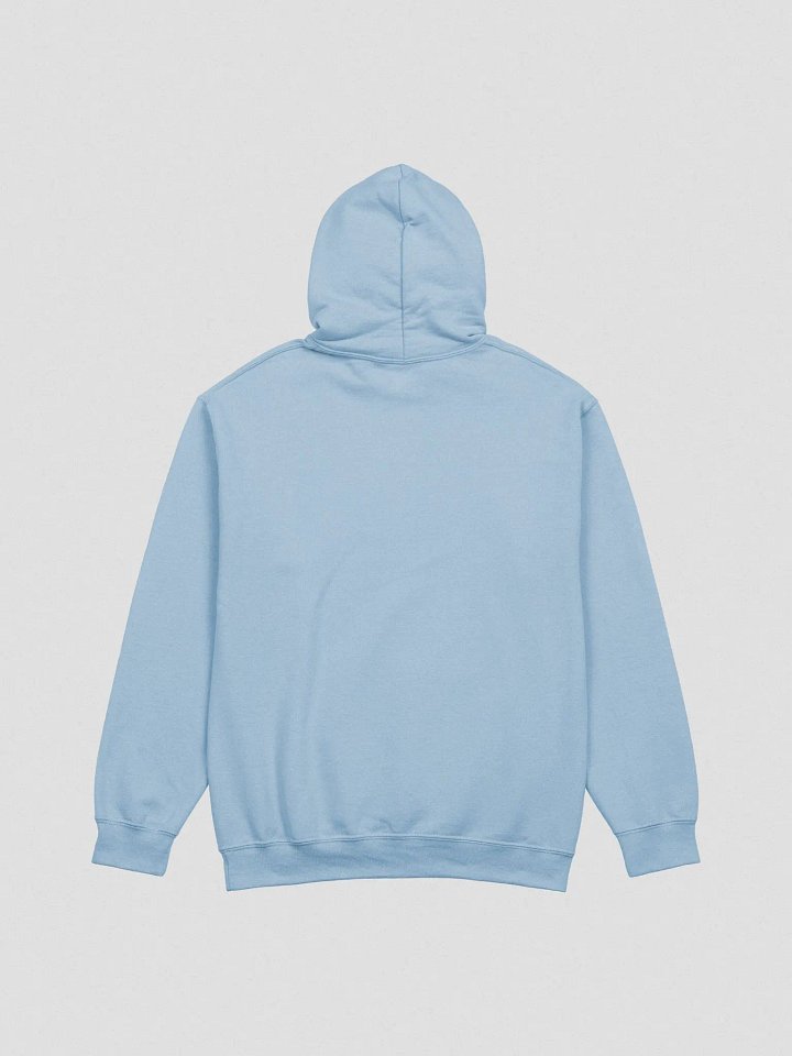 Lost Cat Small Front Logo Hoodie product image (10)