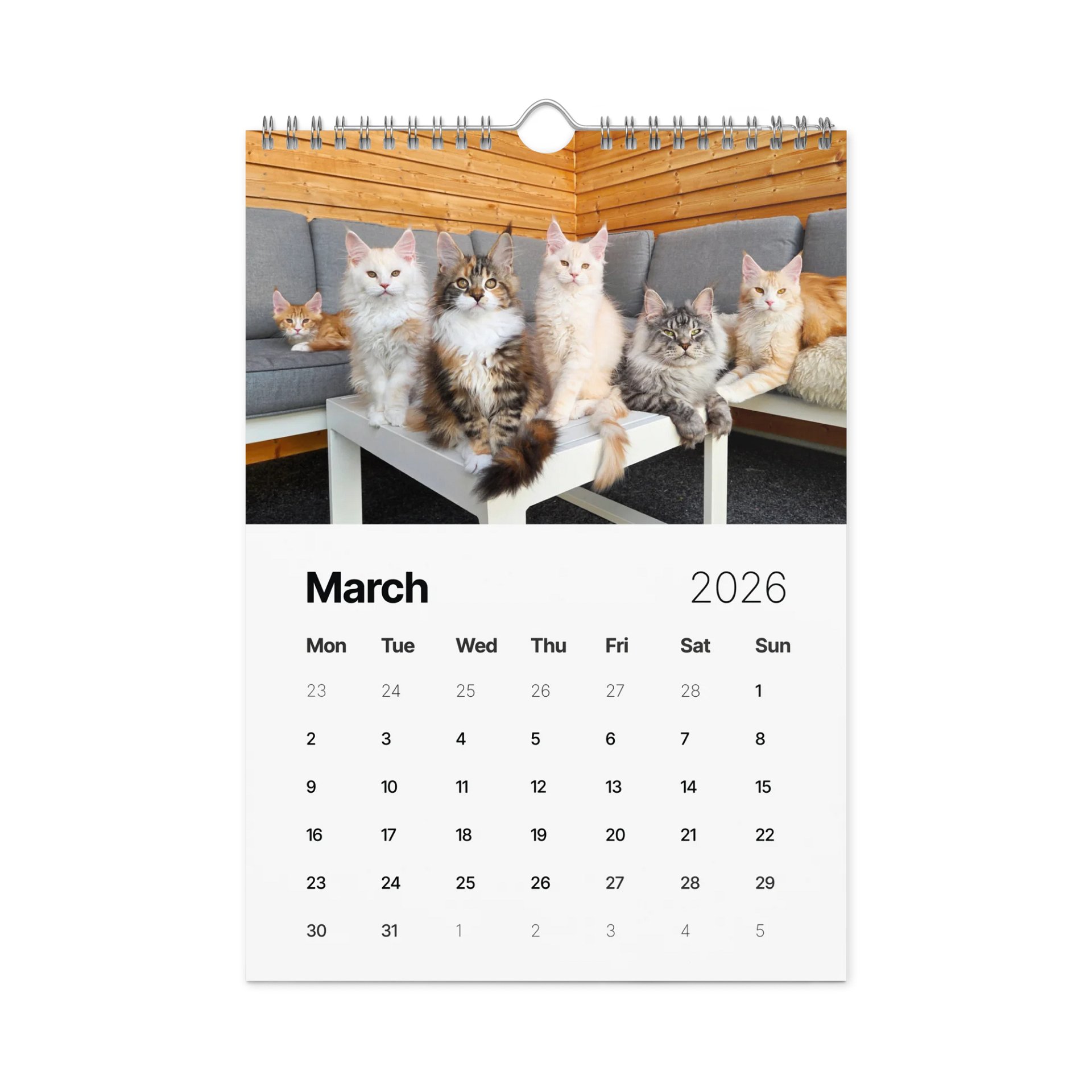 2026 Calendar - Maine Coon Adventures + Kittens product image (2)