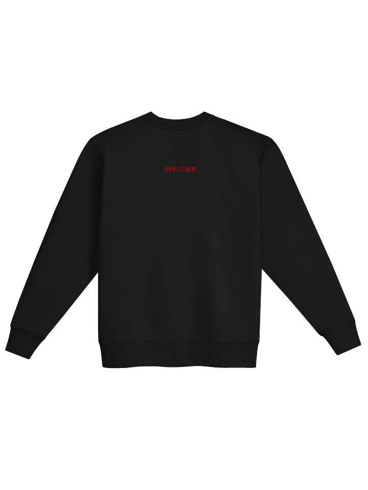 The Robin Byrd Show Sweatshirt product image (2)