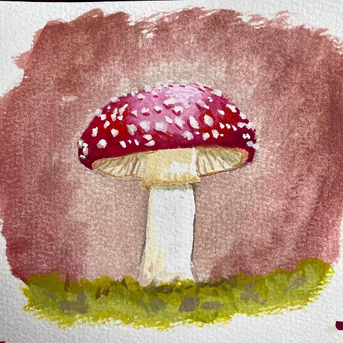 A gouache toadstool I painted on livestream the other week

#gouache #natureart #traditionalart