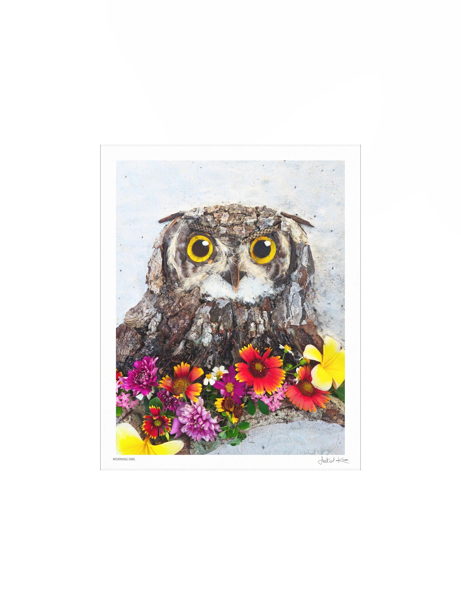 MORNING OWL | Fine Art Print product image (5)