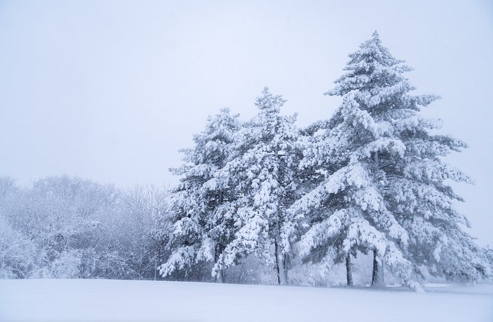 Snow Place Like Home product image (1)
