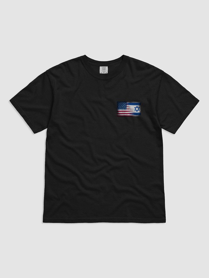 Unity Flags Distressed Tee product image (3)