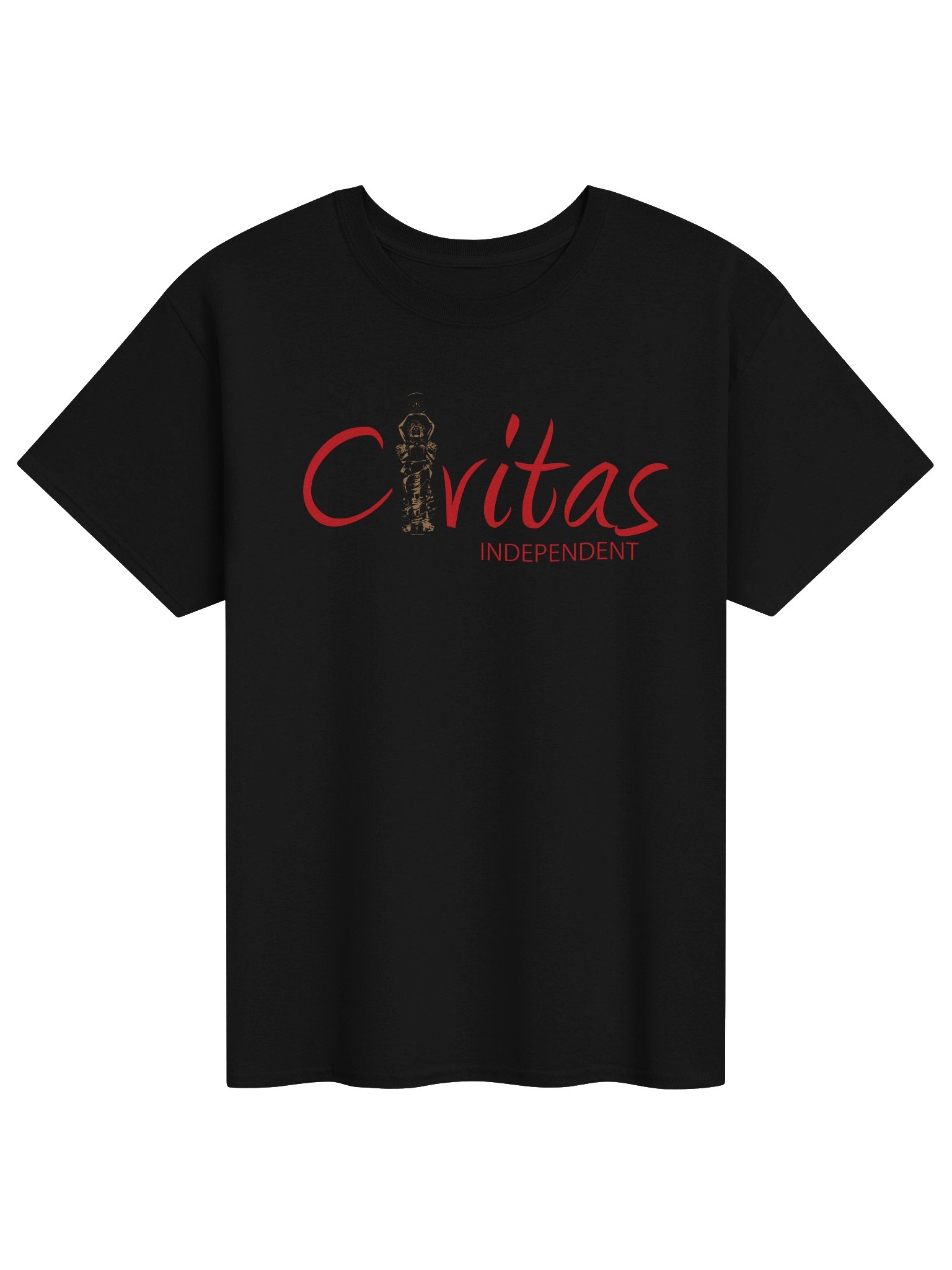 Logo T-Shirt (Red Logo) product image (1)