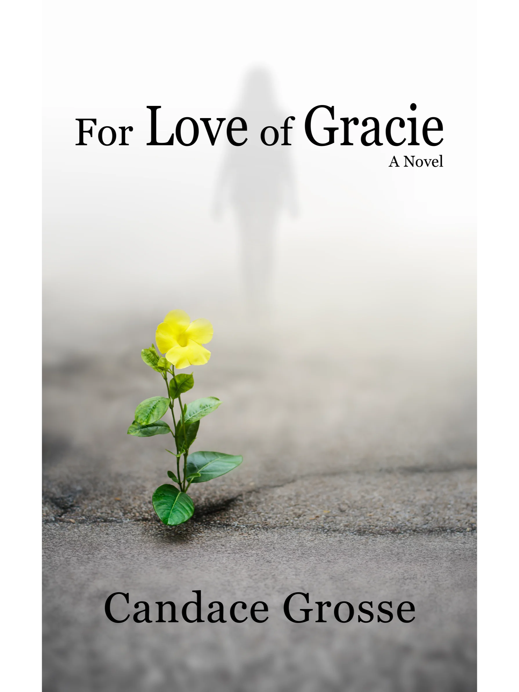 For Love of Gracie: A Novel product image (2)